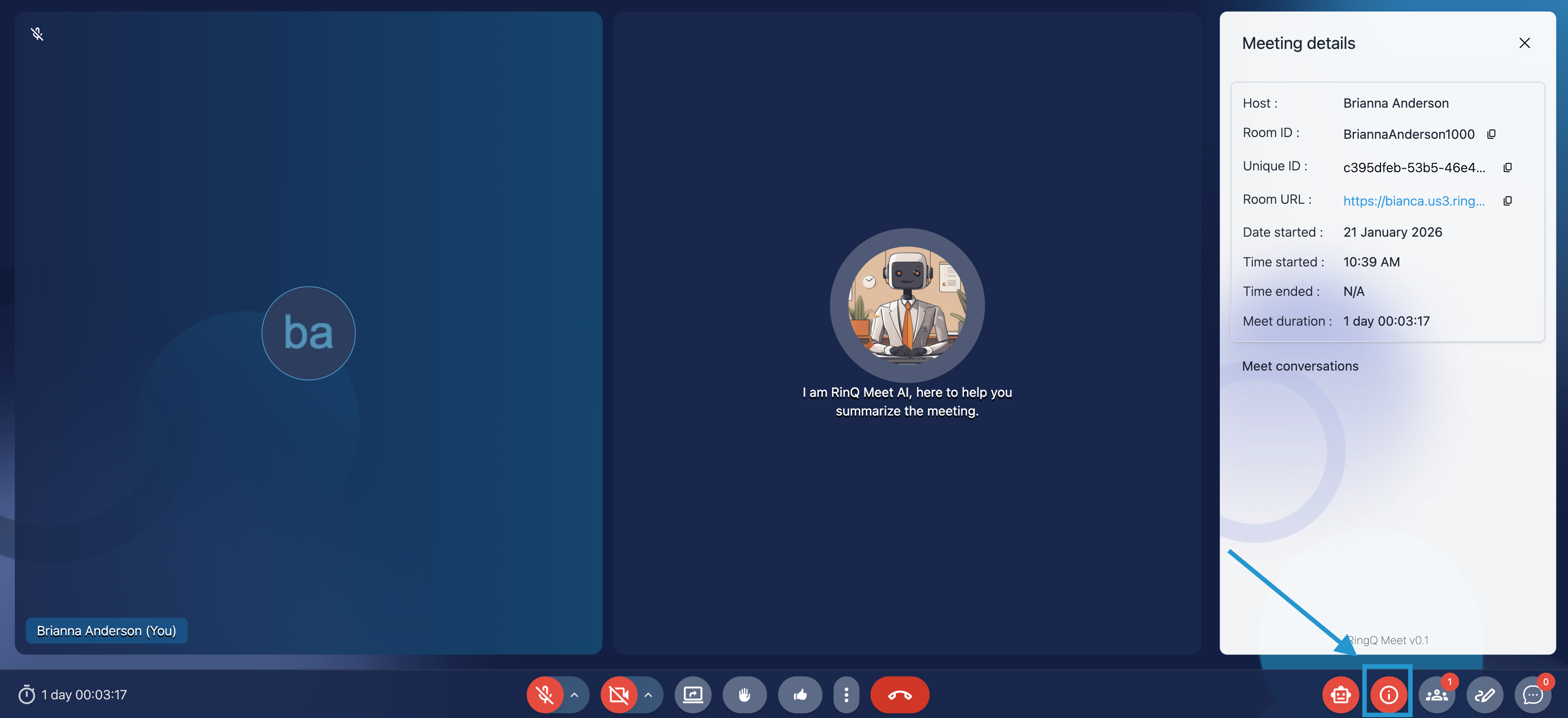 Access more meeting dteails in RingQ Meet